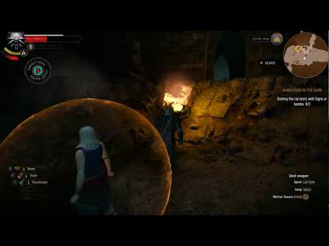 Wandering in The Dark The Witcher 3 Destroy Rat Nest
