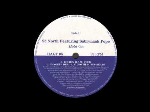 95 North feat Sabrynaah Pope   Hold On Dub Science Disco