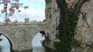 Psalm 45 : A Wedding Song.