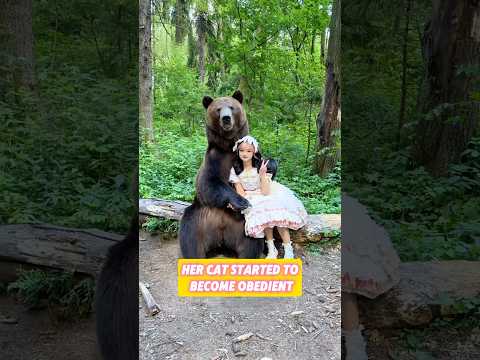 Her cat started to become obedient #cat #pets #shorts