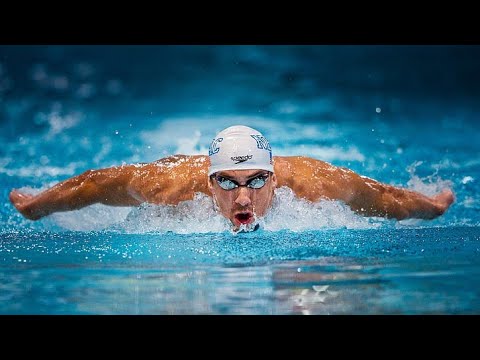 Evolution of swimming through the years