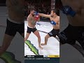 NURMAGOMEDOV STUNS PITBULL WITH THE RIGHT HAND? #shorts #bellator