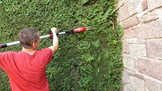 Die Hecke ist fällig - Kleiner Test zum Einhell Hochentaster und Heckenscheren Kit