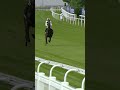 Jockey Falls Off Horse At 40mph Horse Horseracing Racingtv Sport Britishhorseracing