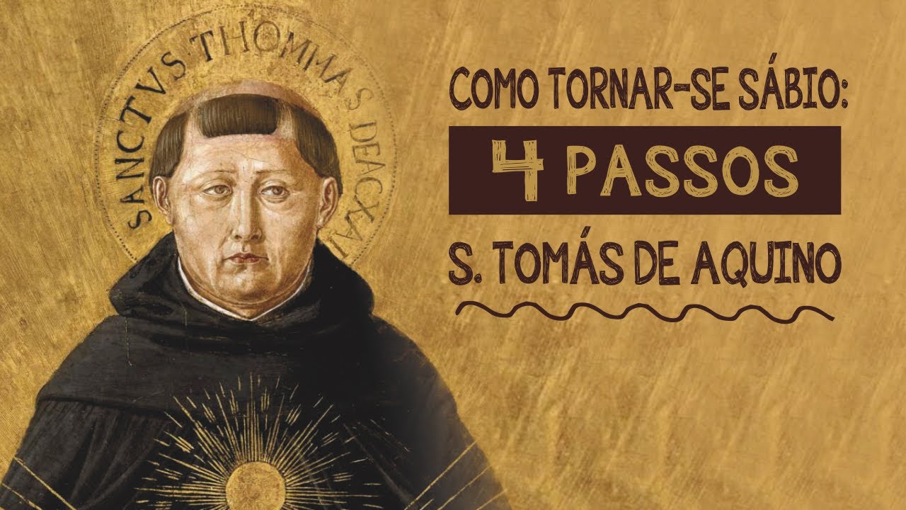 Ordene sua vida | Tomás de Aquino | filosofia | ofício do sábio