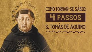 Ordene sua vida | Tomás de Aquino | filosofia | ofício do sábio