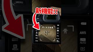 フォトカメラに新機能が増えました #phasmophobia #ファズモフォビア #ファスモフォビア #ホラーゲーム #むにエル