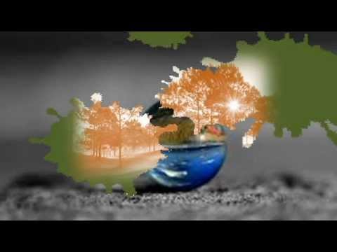 Thể hiện bởi Diệu Hiền