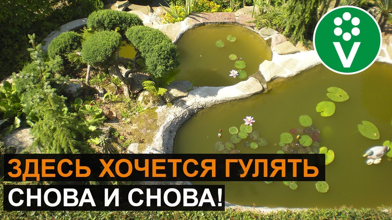 Этот СКАЗОЧНЫЙ САД растопит ваше сердце! Этот СКАЗОЧНЫЙ САД растопит ваше сердце!