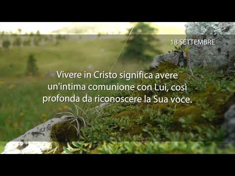 Meditazione del 18 Settembre 2018 “VIVERE IN CRISTO”