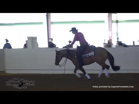 MJG Colonel Dry ridden by Janet Cowles  - 2018 NRBC (Rookie, Show 1)
