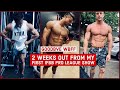 Two weeks out from my First ever IFBB Pro League Show