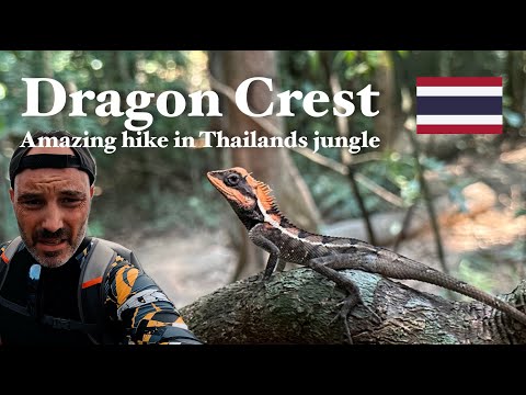 Hiking in Thailand's jungle: The Dragon Crest Trail in Krabi - Episode 3
