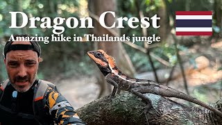 Hiking in Thailand's jungle: The Dragon Crest Trail in Krabi - Episode 3