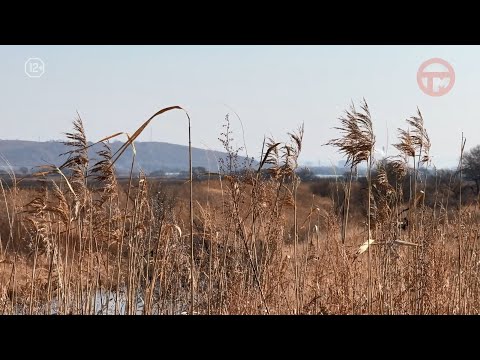🌦 Погода на выходные в Приморье: от мороза к дождю! 🌧