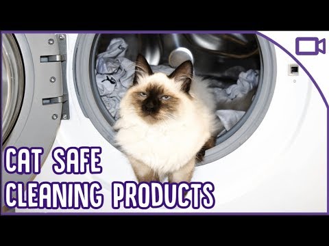 Cat Safe Cleaning Products: TOXIC Products to Cats