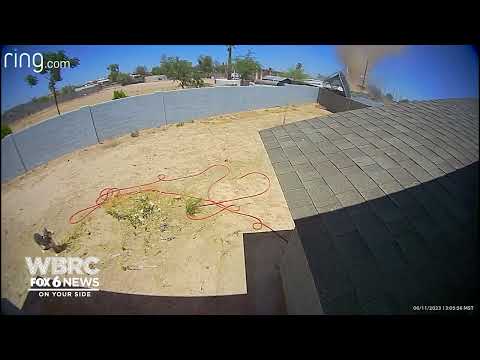 Watch as a trampoline jumps up into a different backyard