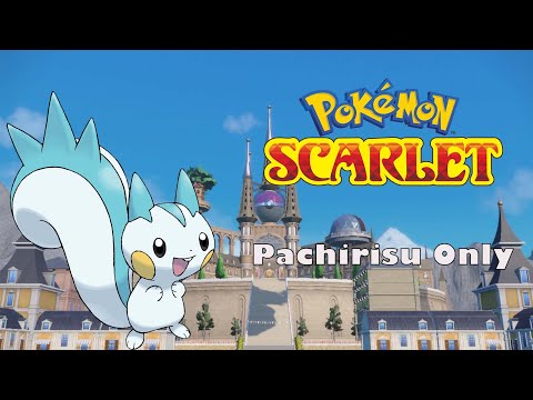 Can I Beat Pokemon Scarlet With Only Pachirisu? | No Items In Battle (2 Year Youtube Anniverary)