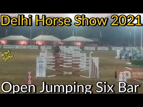 Delhi Horse Horse | Open Jumping Six Bar | Ek Sath 6 Bar ghode ko Jump karwana | घुड़सवारी | Efi ?
