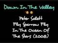 Peter Salett - Fly Sparrow Fly