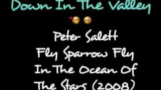 Peter Salett - Fly Sparrow Fly