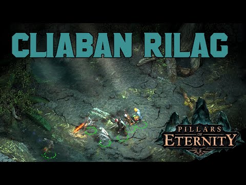 Let's Play Pillars of Eternity - Eders Engelsgeduld - Teil 86