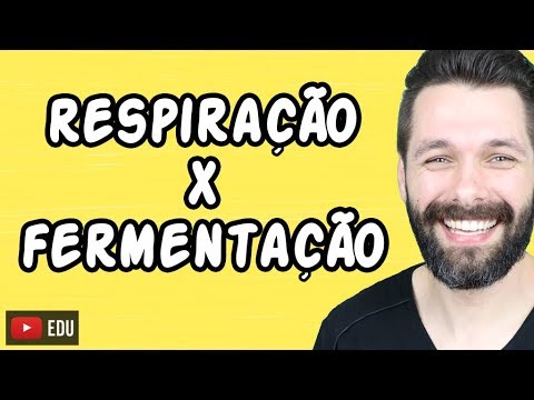 RESPIRAÇÃO CELULAR E FERMENTAÇÃO - Diferenças | Biologia com Samuel Cunha