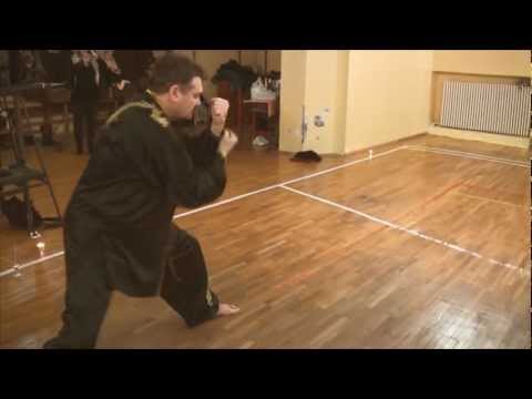 Taijiquan o variantă a stilului originar Chen cu Marele Maestru Adrian Florea