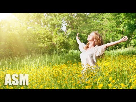 Happy Mood - by AShamaluevMusic (Uplifting Background Music)