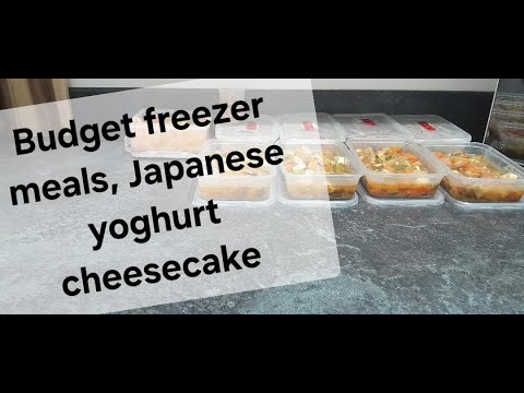 Credit card spends, budget freezer meals,  Japanese yoghurt cheesecake and my meals.