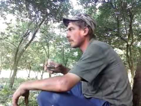 2015 reveniri spectaculoase la slavesti