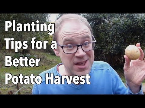 , title : 'Growing Potatoes: Planting Tips for a Better Potato Harvest