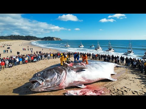 Titans of the Tide and 4 more