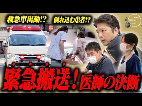 ヒメバネ、ファインジェット