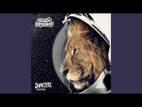 Hustlerz (SubDocta Remix)