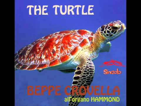BEPPE CROVELLA - THE TURTLE