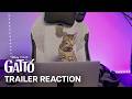REAL CATS REACT To Pixar S Trailer For Gatto