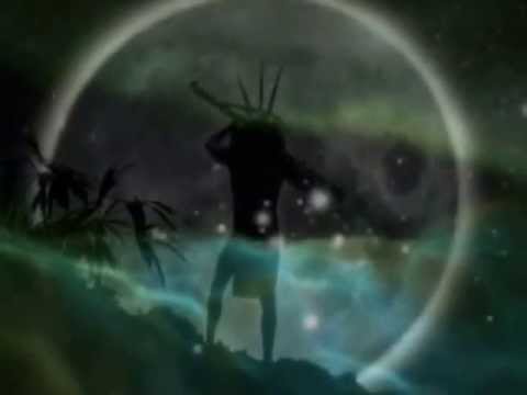 DETERMINIERT CODIERT