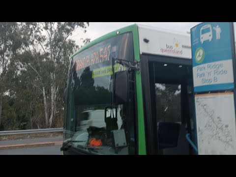 Bus Queensland: No.41 NCBC Gemilang Scania K230UB: 542 inbound: Park ridge to Waller Street