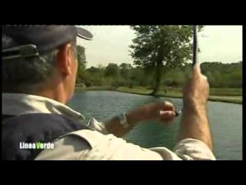 Linea Verde 8 maggio 2011,il Friuli e la Regina di San Daniele