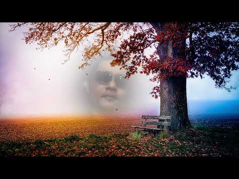 Như cơn mộng ảo - Việt Nhân