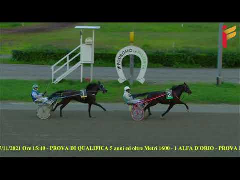 Prova di qualifica e riqualifica Anziani - Metri 1600