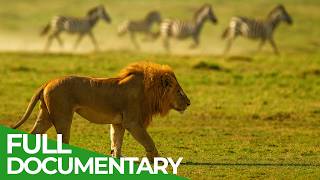 Download lagu Wild Instinct - Fear on the Savannah | Free Documentary Nature mp3 Download lagu Wild Instinct - Fear on the Savannah | Free Documentary Nature mp3