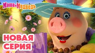 Маша и Медведь 💥 НОВАЯ СЕРИЯ! 💥 Не родись красивой 🐷💅💄 Коллекция мультиков про Машу