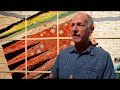 An Evolutionary Moment | Steven Siegel