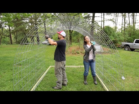 THE BEST CHICKEN COOP EVER! worth every cent!