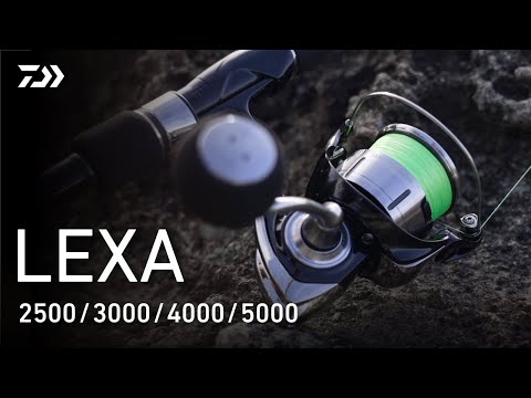 5000-CXH 280 грамм