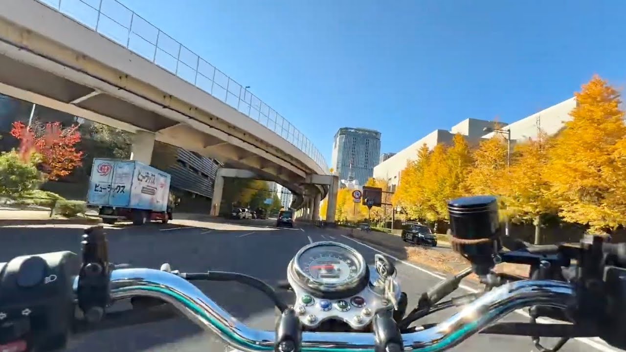TOKYO MOTORCYCLE JOY RIDE 🛵 | Nov 28, 2025 - AUTUMN COLORS & SHIBUYA