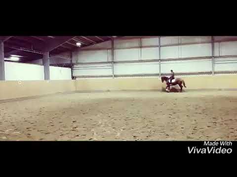 Wallach Londontime x Don Frederico