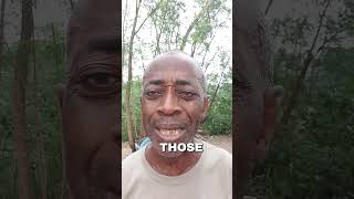 Download lagu Daily Devotions: He Knows You by Name! 📖😇 #iamasoulwinner #cometojesus #jesusiscomingsoon mp3